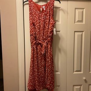 Dress barn fall dress